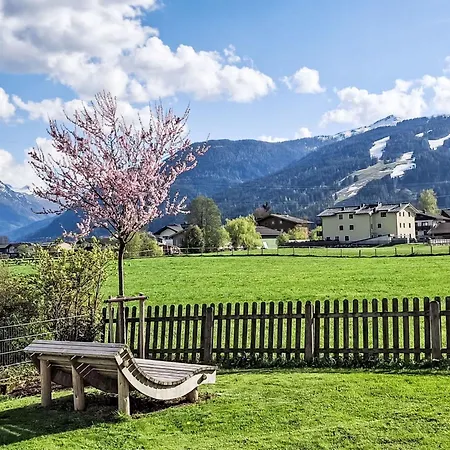 Reiter-1 By Interhome Apartment Flachau