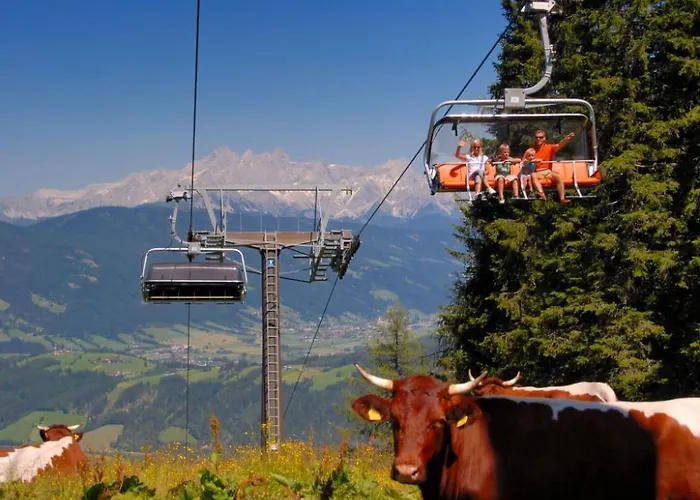 Daire Reiter-1 By Interhome *